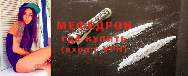 гидра Богородицк