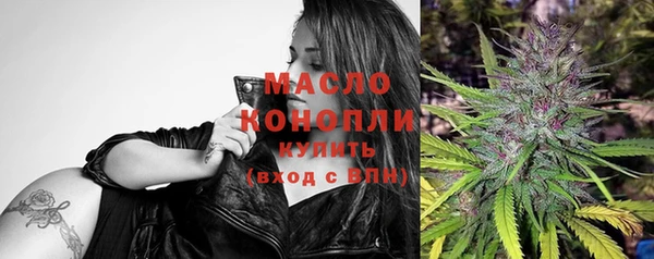 твердый Богданович