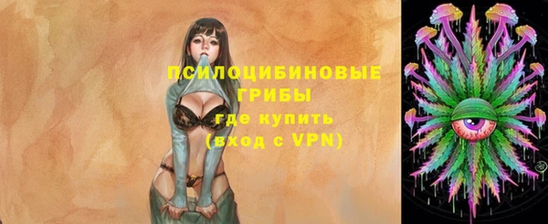 гидра Богородицк