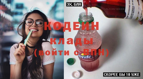 гидра Богородицк