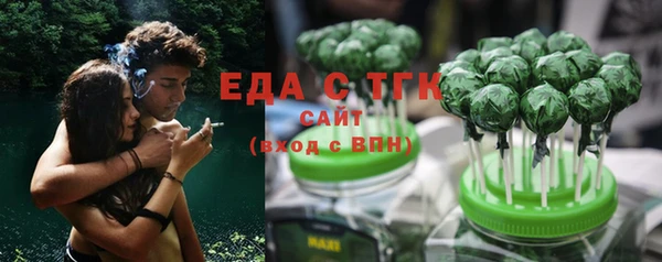 гидра Богородицк