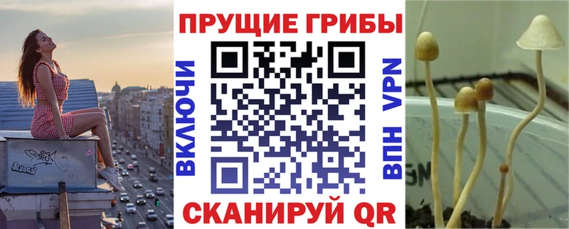 Галлюциногенные грибы MAGIC MUSHROOMS  Видное 