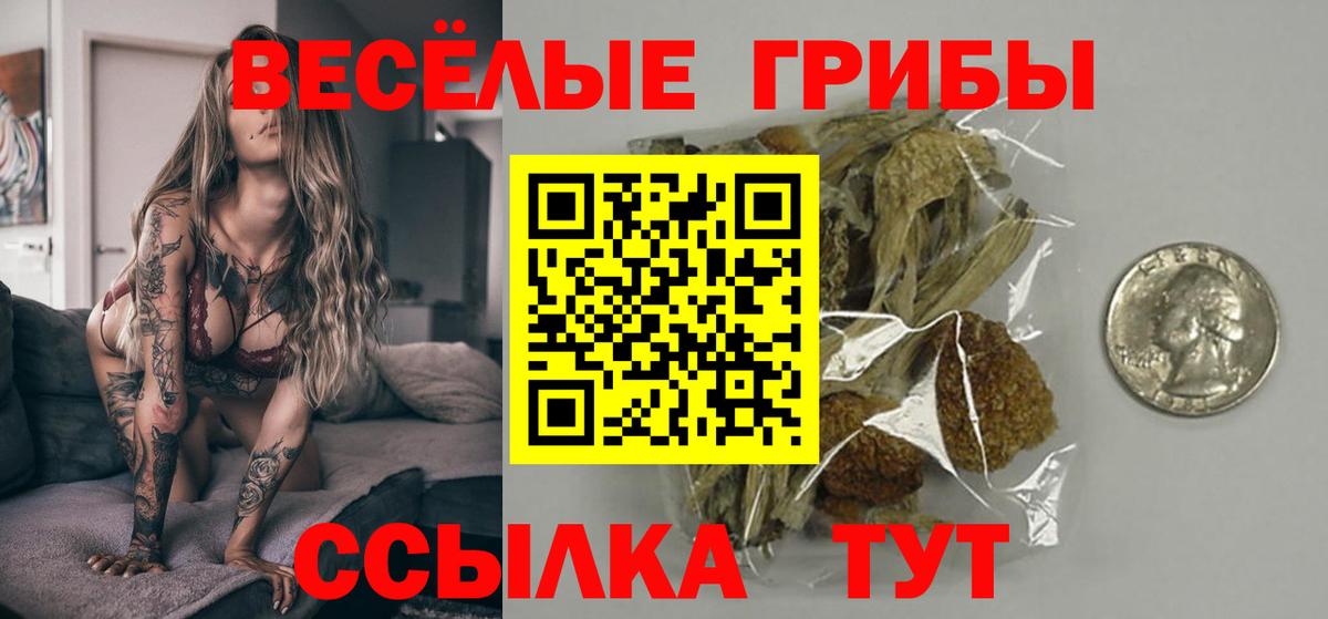 Псилоцибиновые грибы мухоморы Видное