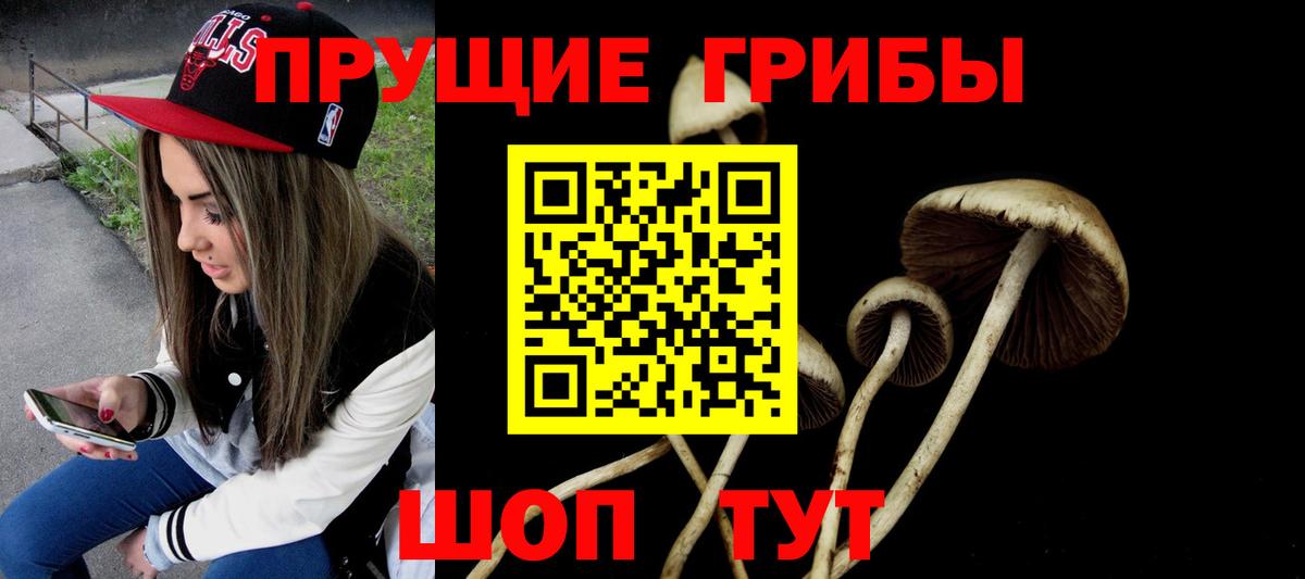 купить закладку  Вход с VPN  Галлюциногенные грибы MAGIC MUSHROOMS  Видное  Псилоцибиновые грибы прущие грибы 